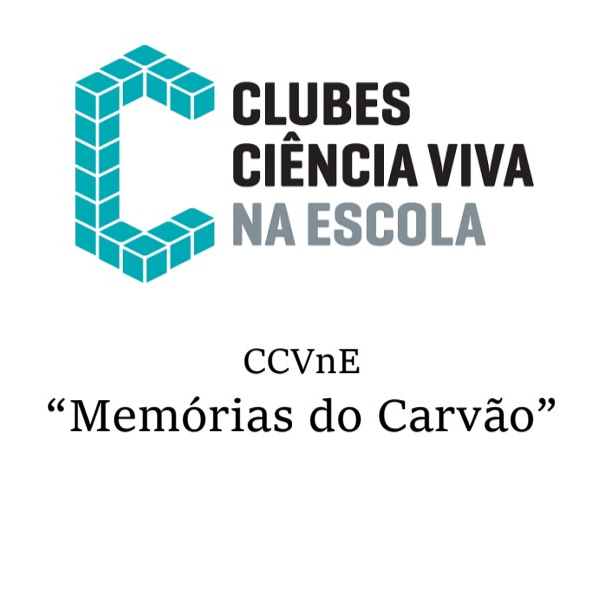 ccvne