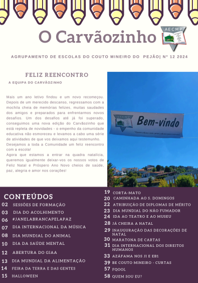 captura de ecrã 2025 01 16 093019