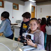 Img 20230323 102338 Img 20230323 102338