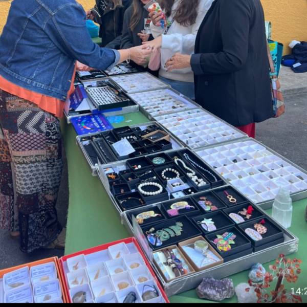 Feira de Minerais na Escola Couto Mineiro do Pejão